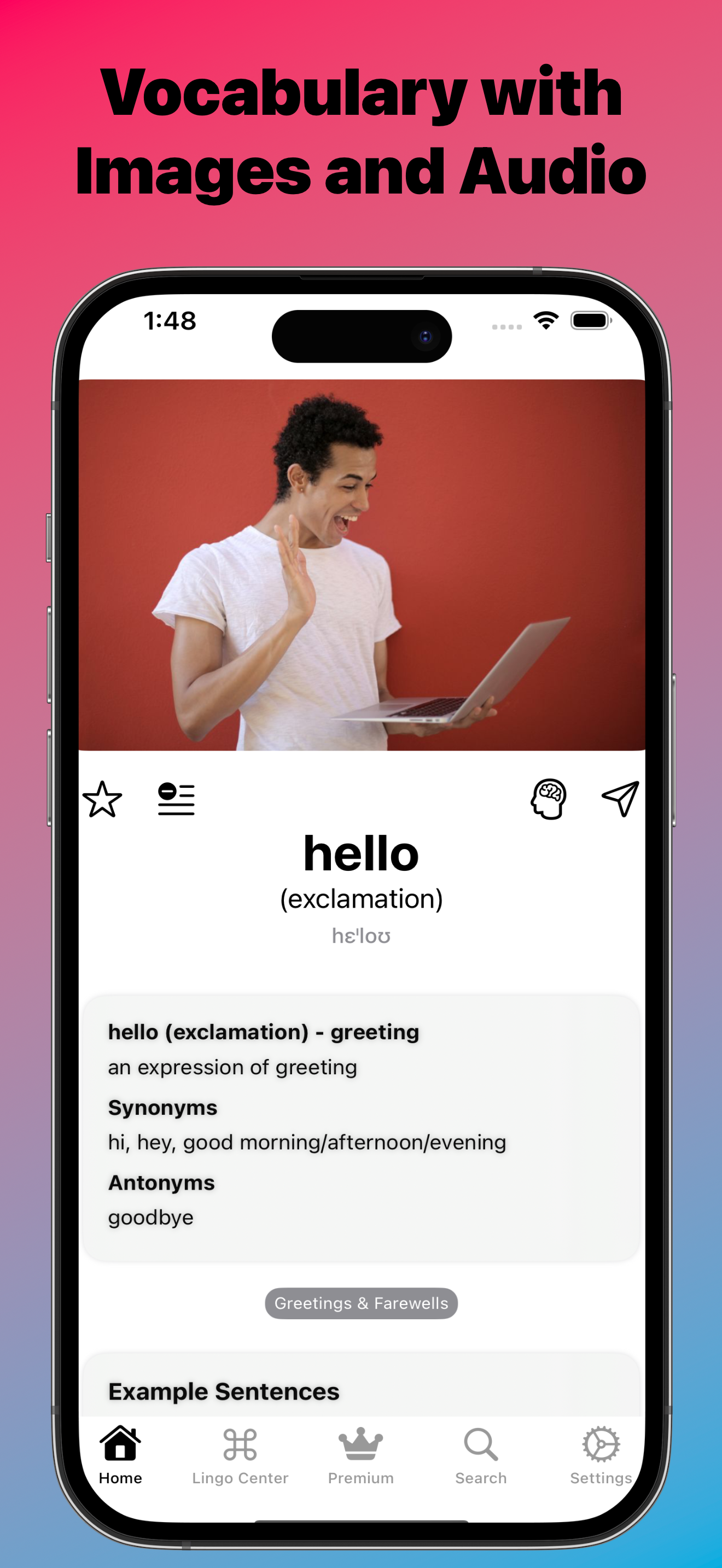 lingoswipe screenshot